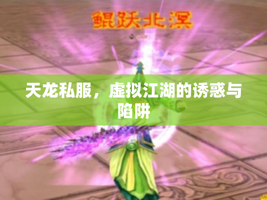 天龙私服，虚拟江湖的诱惑与陷阱