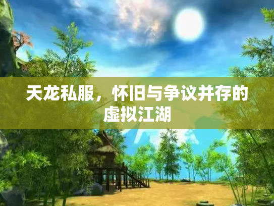 天龙私服，怀旧与争议并存的虚拟江湖