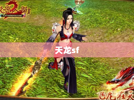 天龙sf