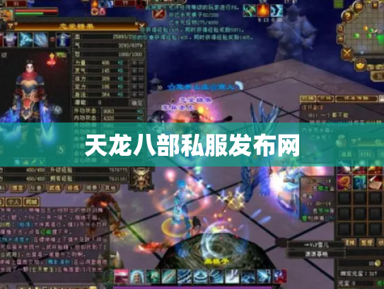 天龙八部私服发布网