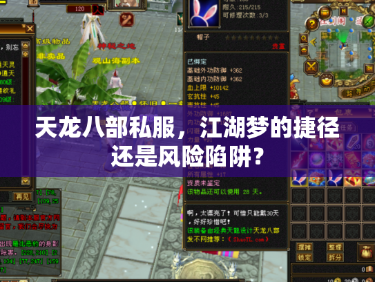 天龙八部私服，江湖梦的捷径还是风险陷阱？