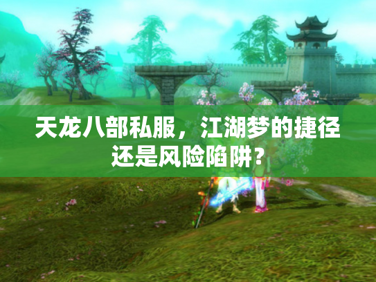 天龙八部私服，江湖梦的捷径还是风险陷阱？
