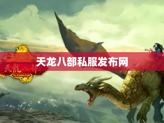 天龙八部私服发布网