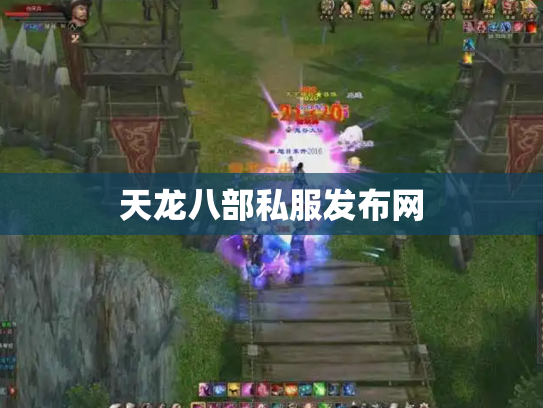 天龙八部私服发布网