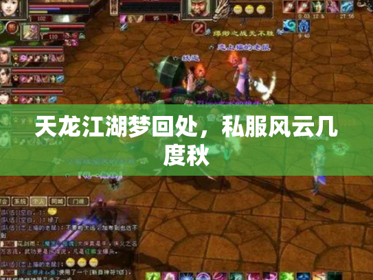 天龙江湖梦回处，私服风云几度秋