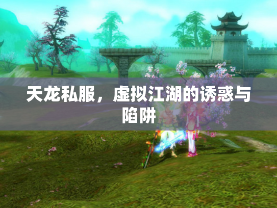 天龙私服，虚拟江湖的诱惑与陷阱