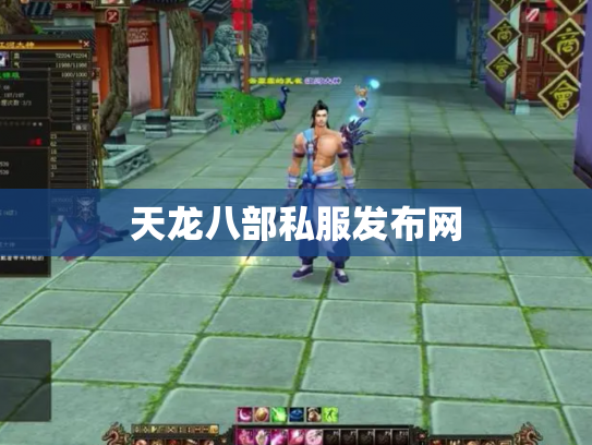 天龙八部私服发布网