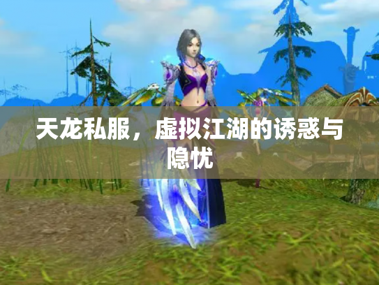 天龙私服，虚拟江湖的诱惑与隐忧