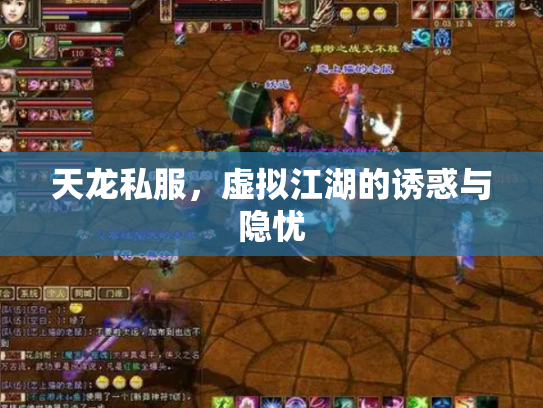 天龙私服，虚拟江湖的诱惑与隐忧