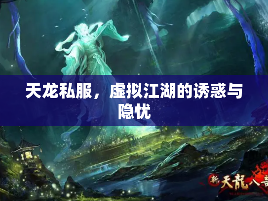 天龙私服，虚拟江湖的诱惑与隐忧