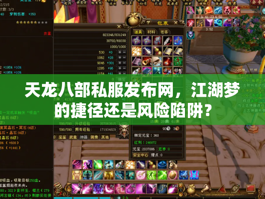 天龙八部私服发布网，江湖梦的捷径还是风险陷阱？