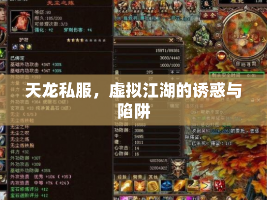 天龙私服，虚拟江湖的诱惑与陷阱