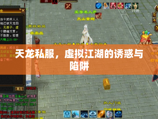 天龙私服，虚拟江湖的诱惑与陷阱