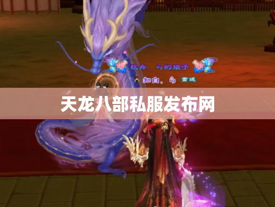 天龙八部私服发布网