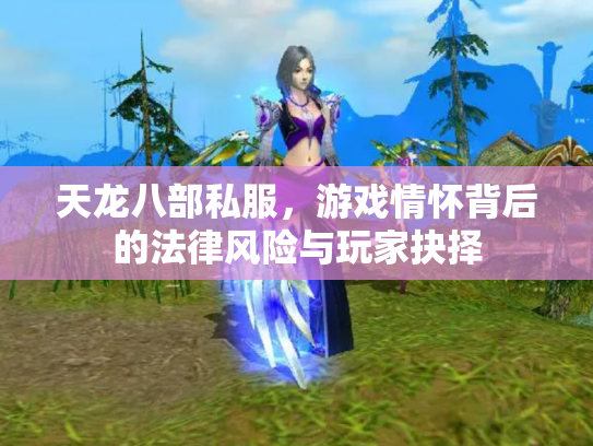 天龙八部私服，游戏情怀背后的法律风险与玩家抉择