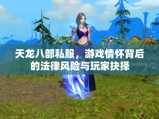 天龙八部私服，游戏情怀背后的法律风险与玩家抉择