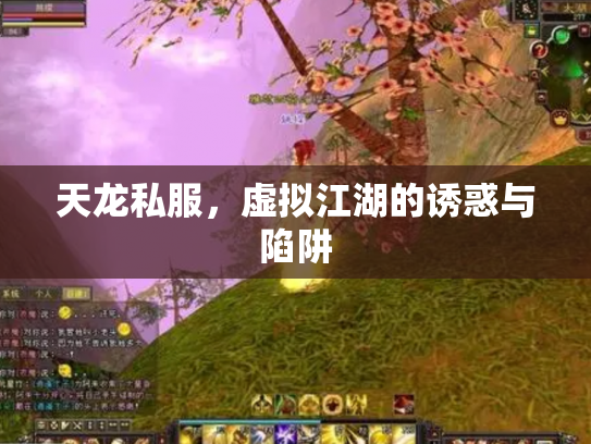 天龙私服，虚拟江湖的诱惑与陷阱