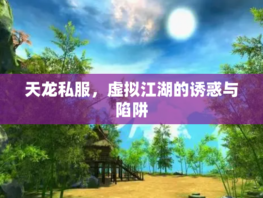 天龙私服，虚拟江湖的诱惑与陷阱