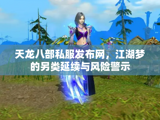 天龙八部私服发布网，江湖梦的另类延续与风险警示