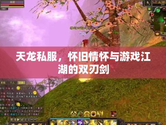 天龙私服，怀旧情怀与游戏江湖的双刃剑