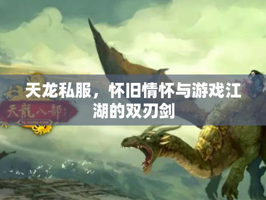 天龙私服，怀旧情怀与游戏江湖的双刃剑