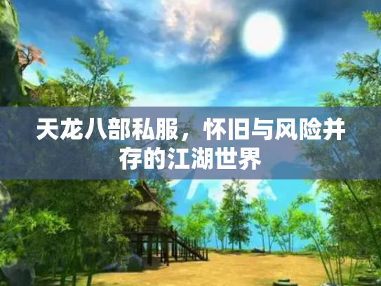 天龙八部私服，怀旧与风险并存的江湖世界