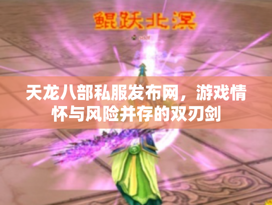 天龙八部私服发布网，游戏情怀与风险并存的双刃剑