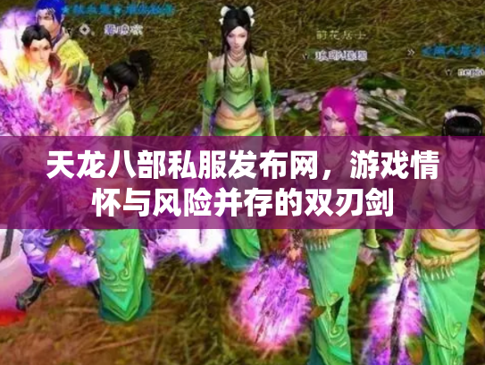 天龙八部私服发布网，游戏情怀与风险并存的双刃剑