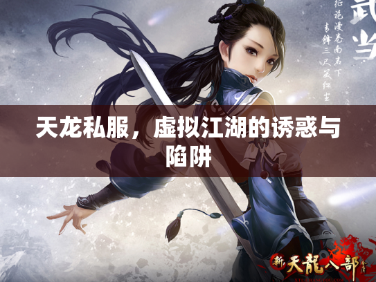 天龙私服，虚拟江湖的诱惑与陷阱