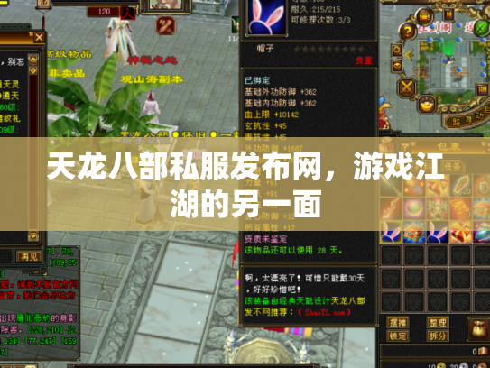 天龙八部私服发布网，游戏江湖的另一面