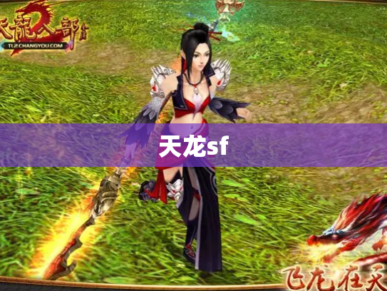 天龙sf