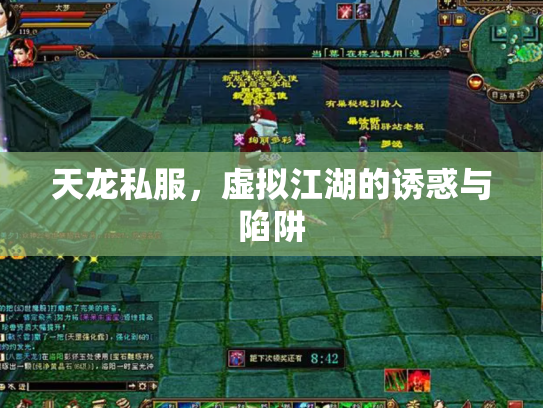 天龙私服，虚拟江湖的诱惑与陷阱