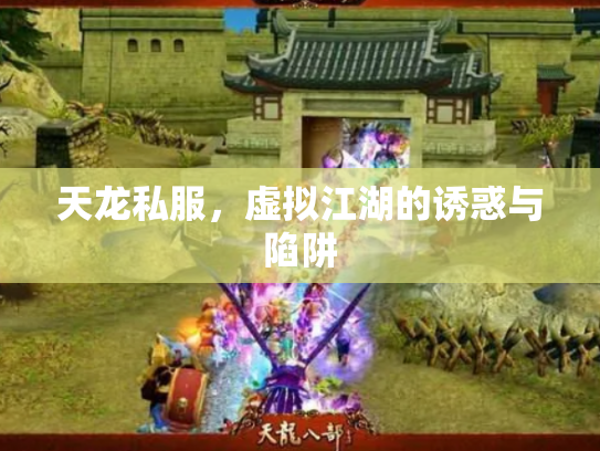 天龙私服，虚拟江湖的诱惑与陷阱