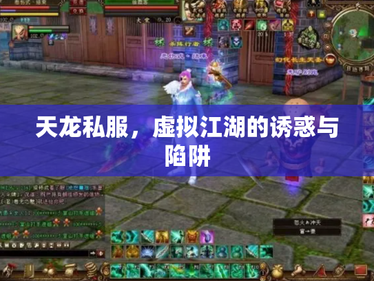 天龙私服，虚拟江湖的诱惑与陷阱