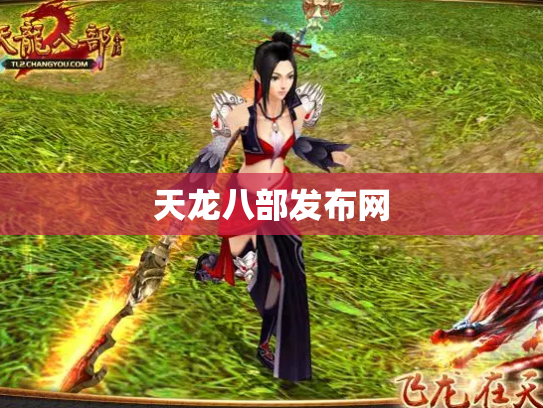 天龙八部发布网