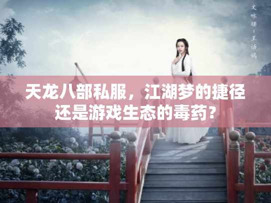天龙八部私服，江湖梦的捷径还是游戏生态的毒药？
