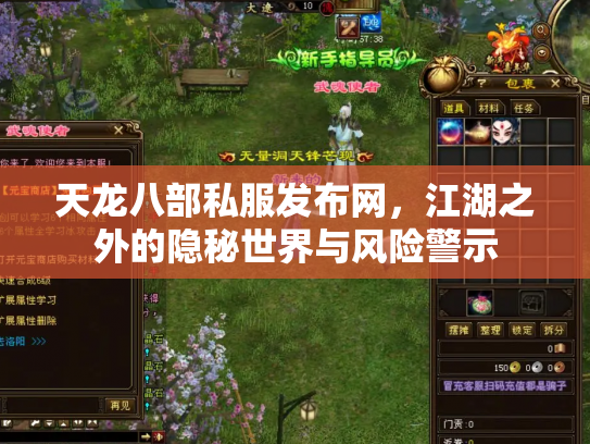 天龙八部私服发布网，江湖之外的隐秘世界与风险警示