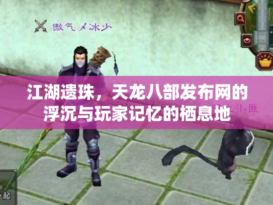 江湖遗珠，天龙八部发布网的浮沉与玩家记忆的栖息地