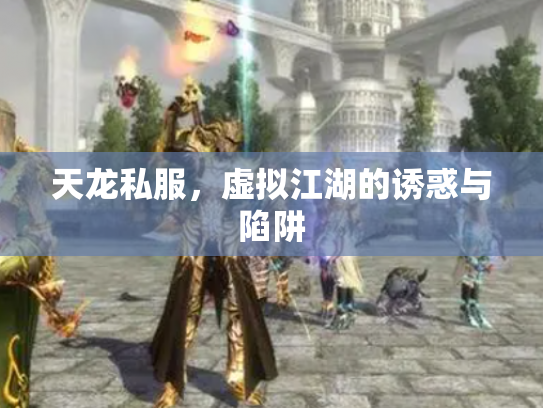 天龙私服，虚拟江湖的诱惑与陷阱