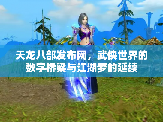 天龙八部发布网，武侠世界的数字桥梁与江湖梦的延续