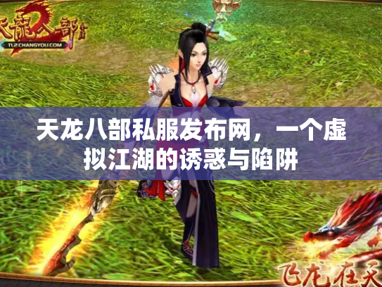 天龙八部私服发布网，一个虚拟江湖的诱惑与陷阱