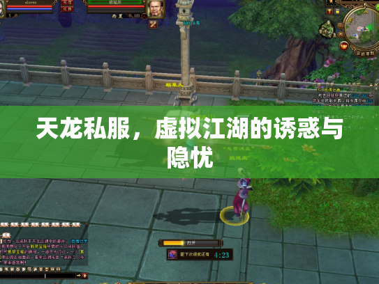 天龙私服，虚拟江湖的诱惑与隐忧