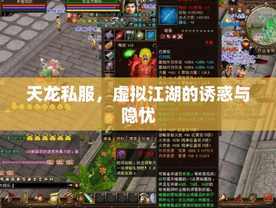 天龙私服，虚拟江湖的诱惑与隐忧