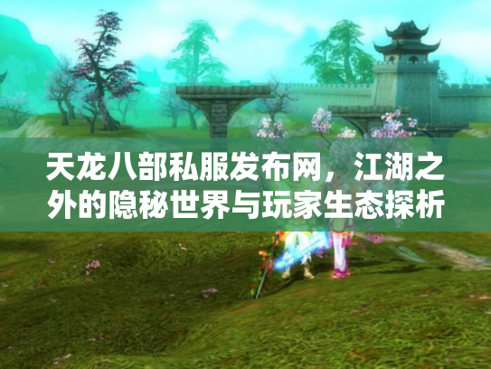 天龙八部私服发布网，江湖之外的隐秘世界与玩家生态探析