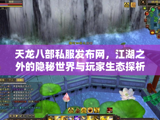 天龙八部私服发布网，江湖之外的隐秘世界与玩家生态探析