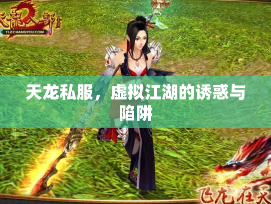 天龙私服，虚拟江湖的诱惑与陷阱