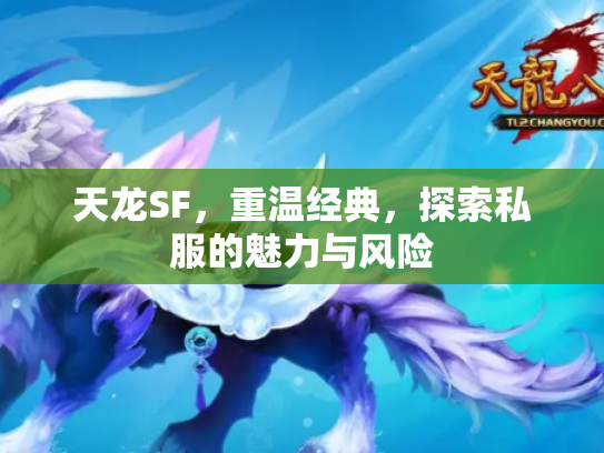 天龙SF，重温经典，探索私服的魅力与风险
