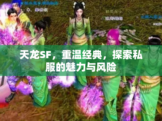 天龙SF，重温经典，探索私服的魅力与风险