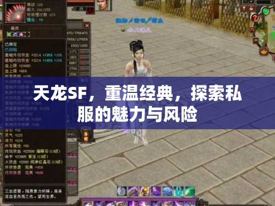 天龙SF，重温经典，探索私服的魅力与风险