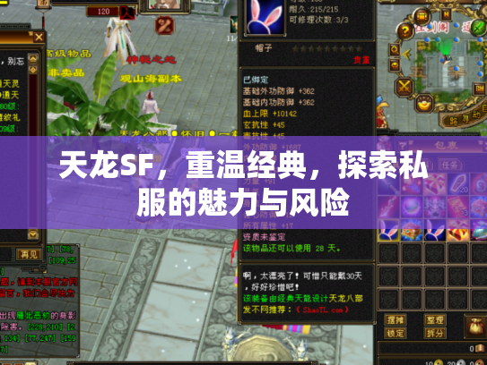 天龙SF，重温经典，探索私服的魅力与风险